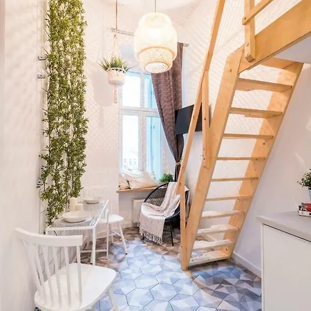 Momo Studio 25